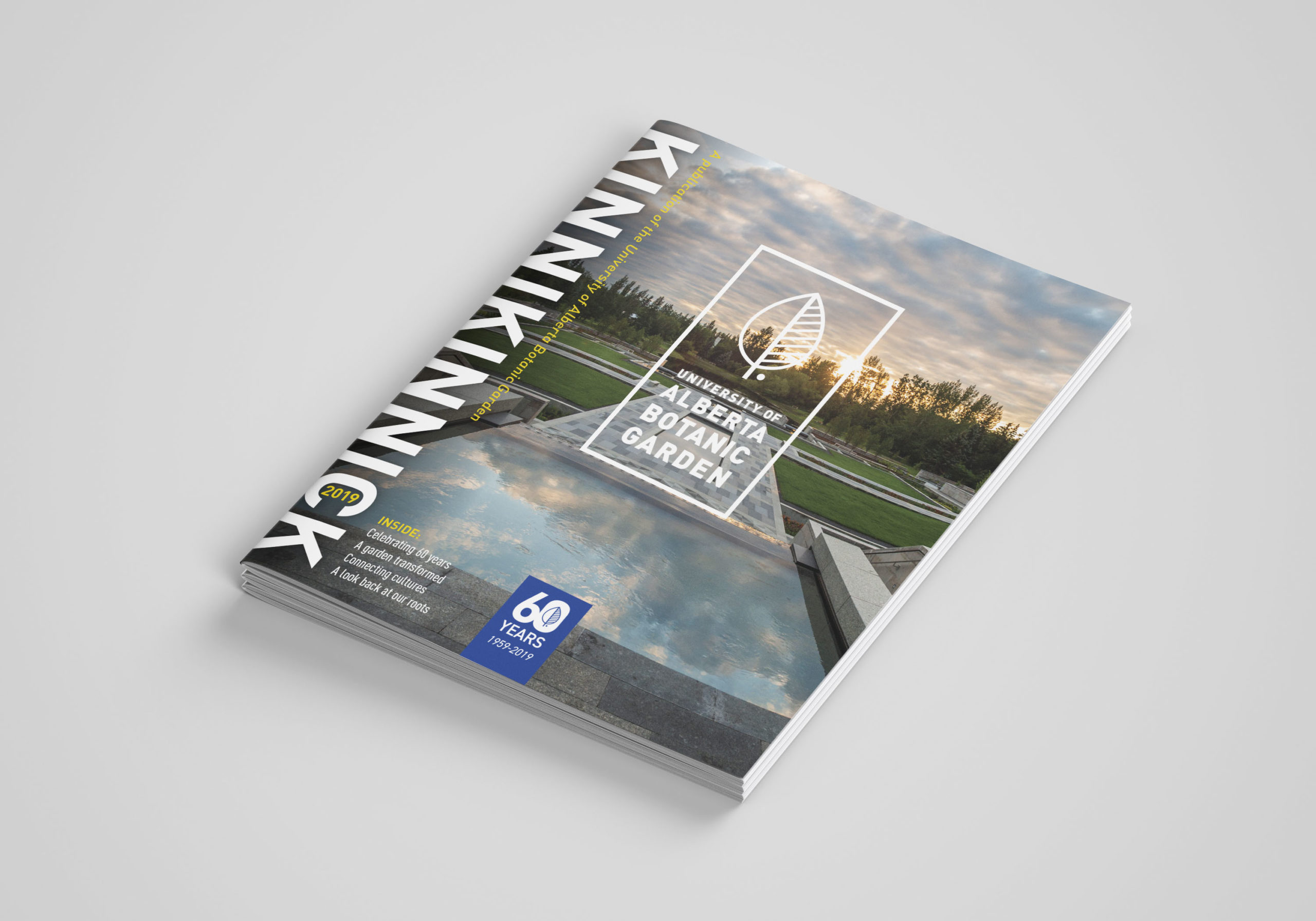 Mockups Design