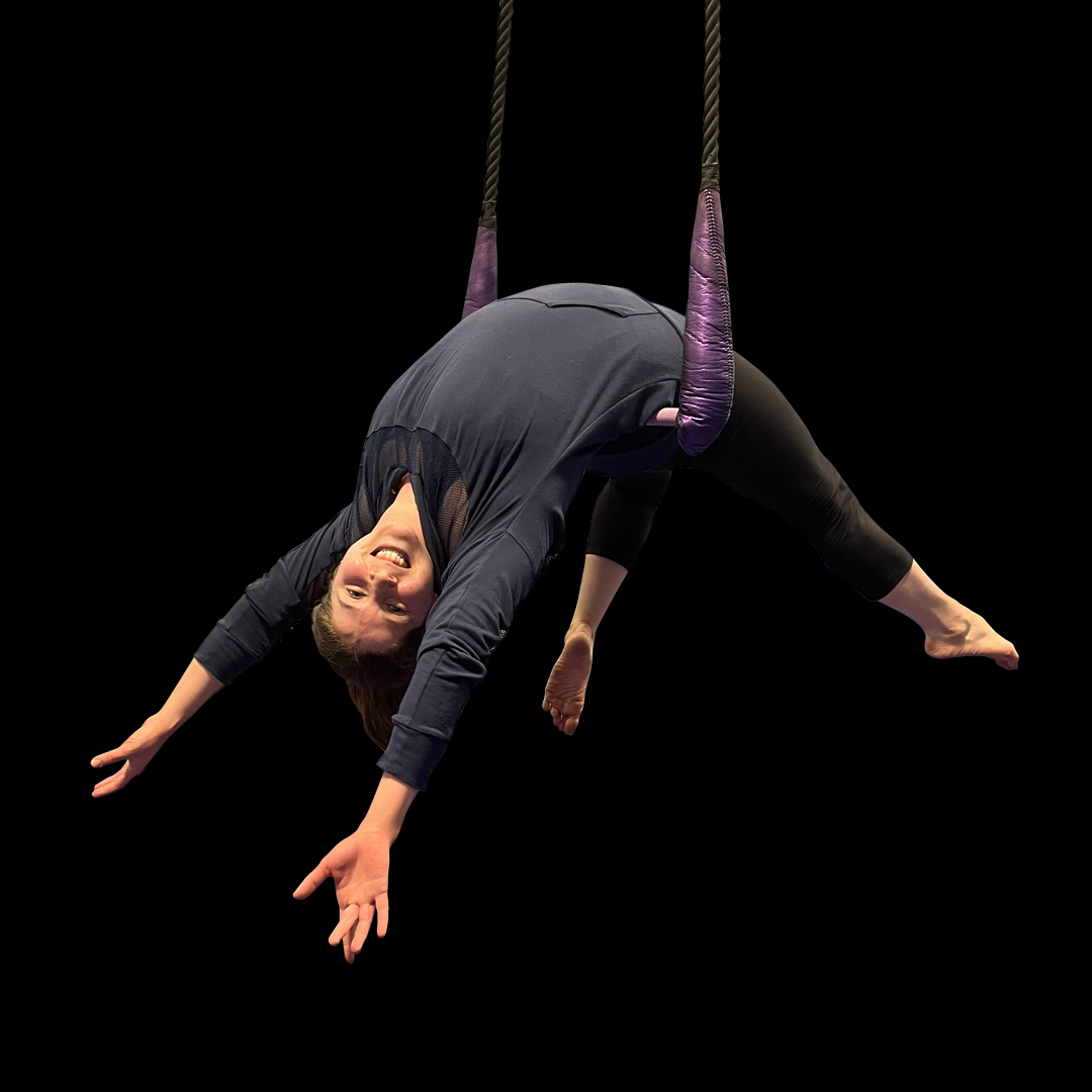 Firefly Yoga Trapeze